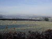 cold and frosty morning