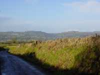Cheesewring & Sharp Tor
